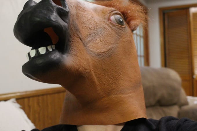 I will send you a video of me wearing a horse mask making horse puns