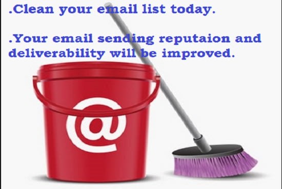 I will thoroughly clean your email list in 24 hours