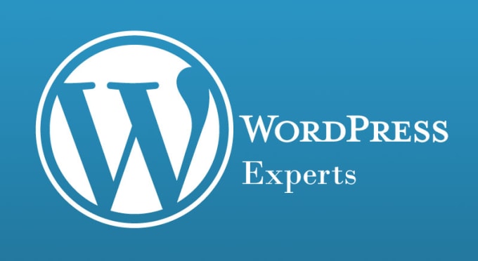 I will wordpress issues, wordpress bugs, issues, bugs, wordpress,