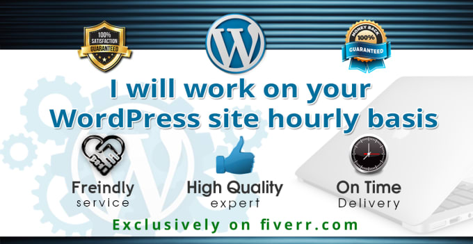 I will work hourly basis on your wp site