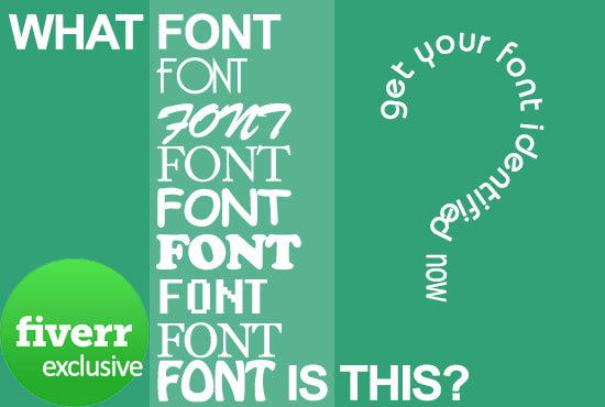 I will accurately identify any font in anything
