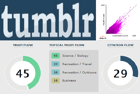 I will boost seo rankings with high trust flow pa backlinks expired tumblr for pbn