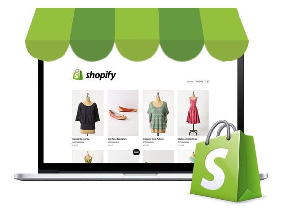 I will build a shopify and typo3 neos website