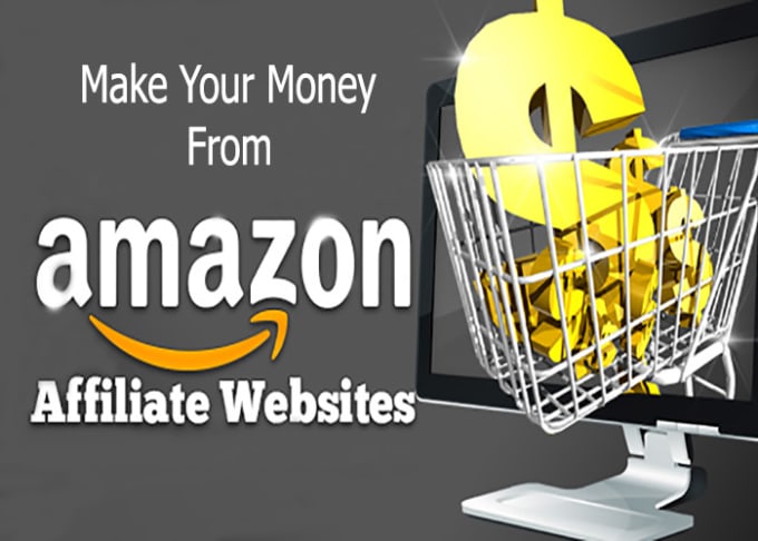 I will build amazon affiliate website