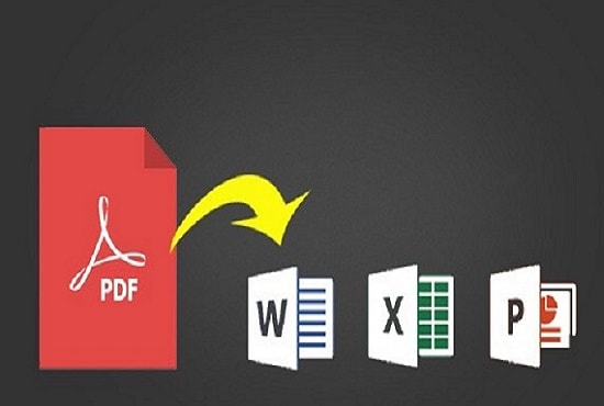 I will convert or type  pdf into excel or word document