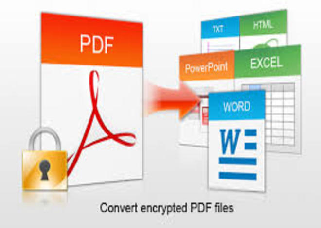 I will convert PDF to any document