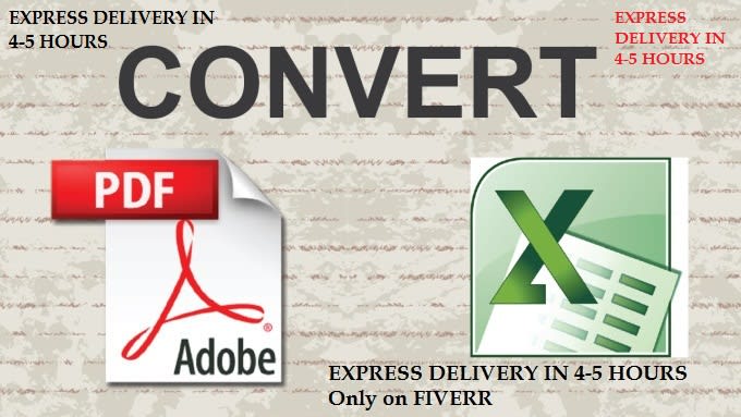 I will convert your pdf to Excel or MS word