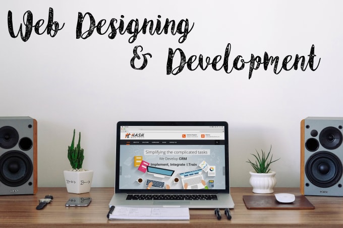 I will design and or develop professional responsive website