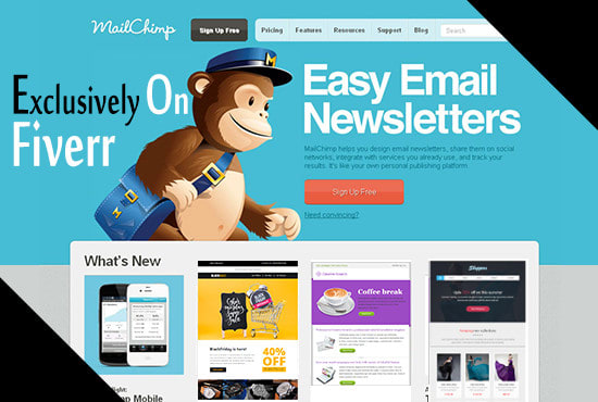 I will design fully responsive mailchimp template