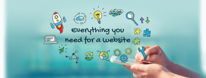 I will develop a professional website