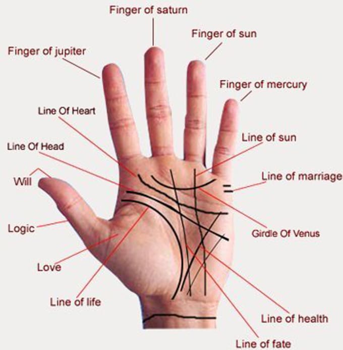 I will do accurate palm reading and tell about future