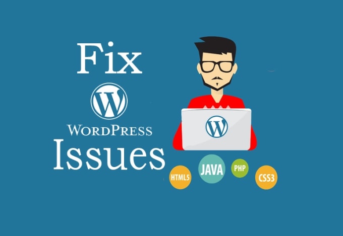 I will do any WordPress fix or customization