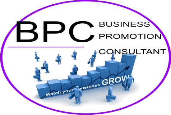 I will do custom marketing strategy and business plan