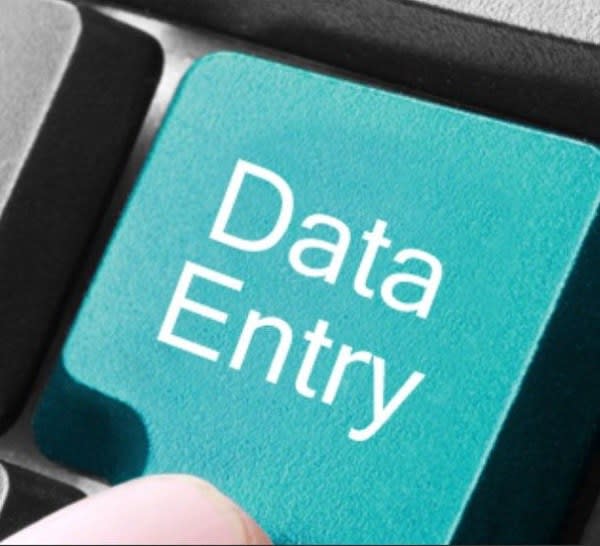 I will do data entry for you