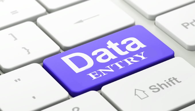 I will do data entry for you