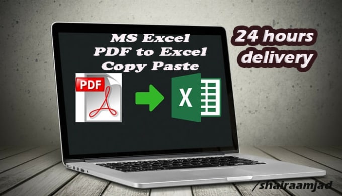 I will do data entry, pdf to excel, copy paste, website to excel
