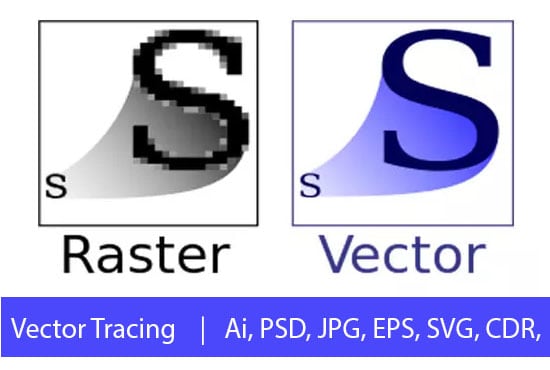 I will do vector trace and convert image to vector