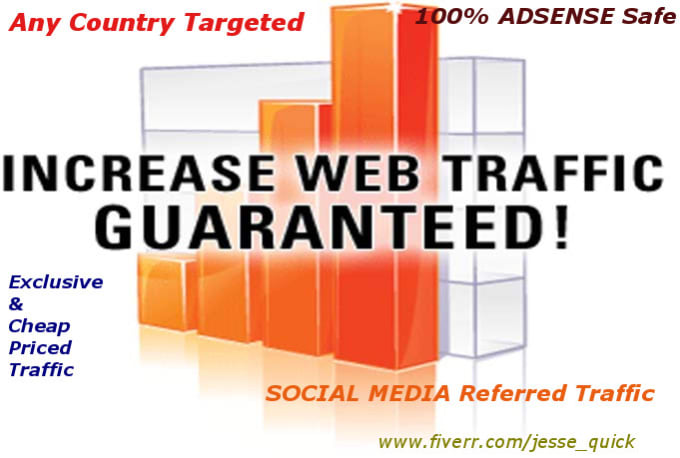 I will drive website traffic, adsense safe and genuine for 1 month
