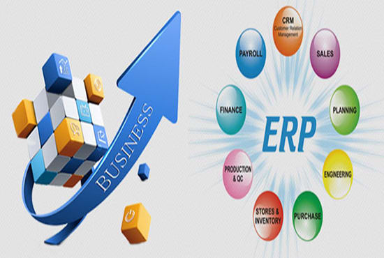 I will erp Solutions For Your Business