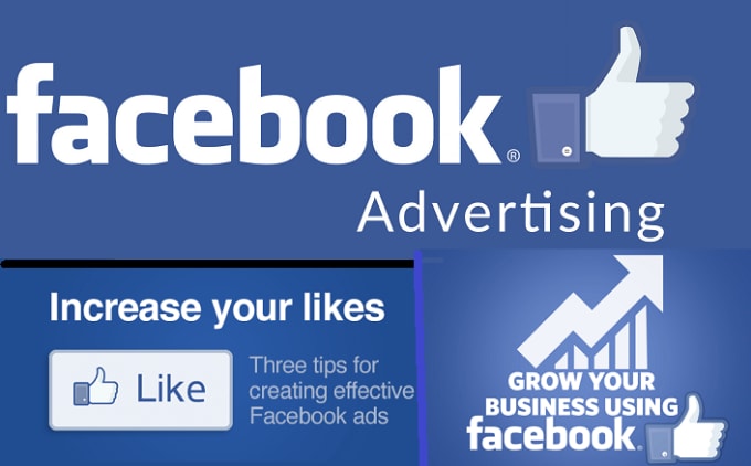 I will facebook Marketing Business Plan