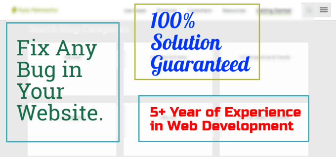 I will fix any 2 bug in your website
