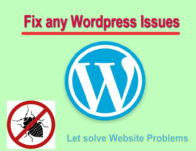I will fix any wordpress issues, CSS layout issue or plugin errors