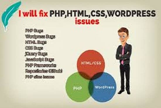 I will fix wordpress bugs or problems