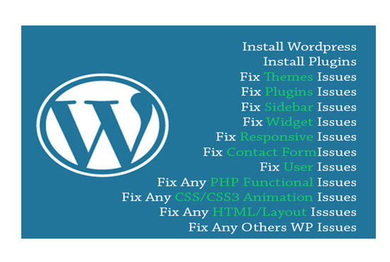 I will fix wordpress issues in real quick