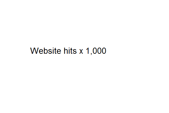 I will give you 1,000 website hits