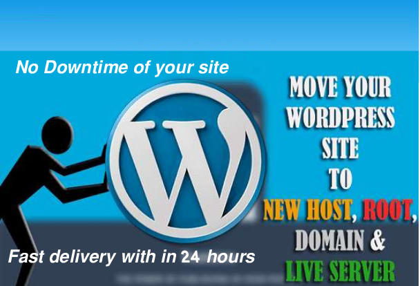 I will migration wordpress site to new domain