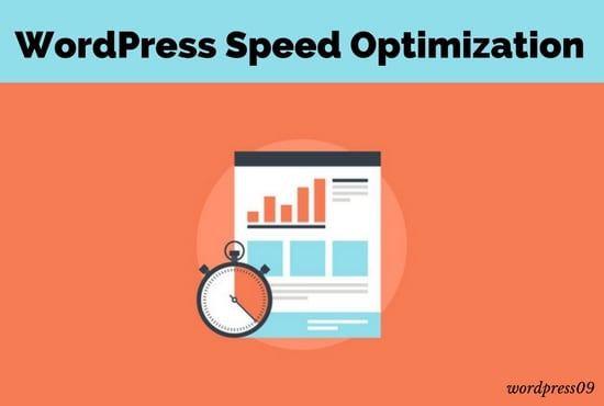 I will optimize and speed up your website in 24 hours