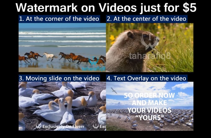 I will place watermark on your videos for its safety