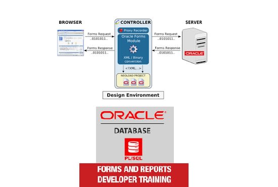 I will plsql , oracle forms and oracle reports