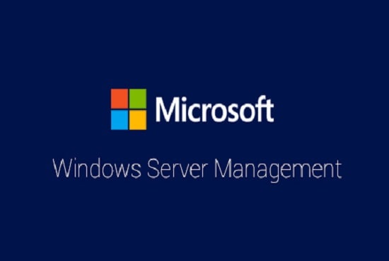 I will provide 1 hour windows server support