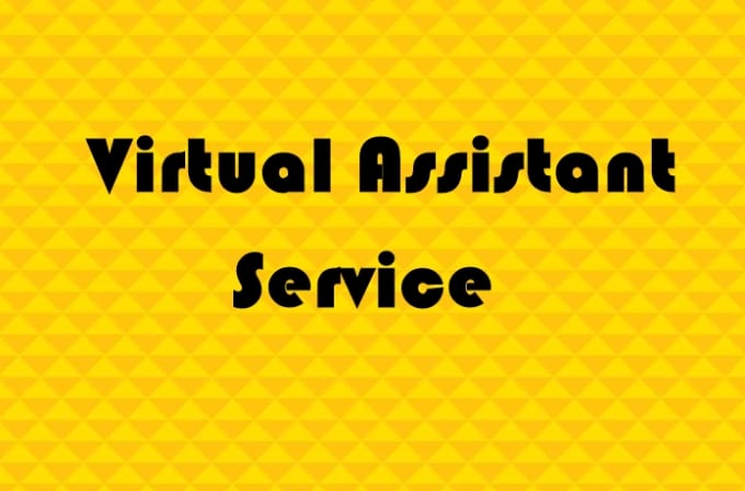 I will provide va,admin support  services