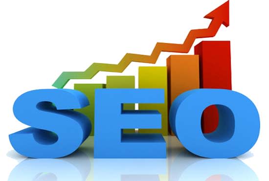 I will search engine optimization SEO services