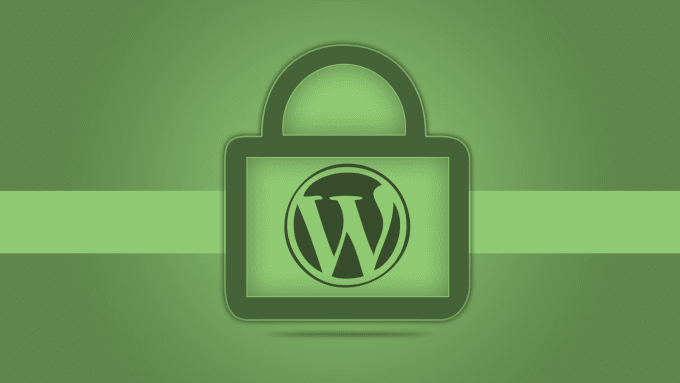 I will secure your WordPress website