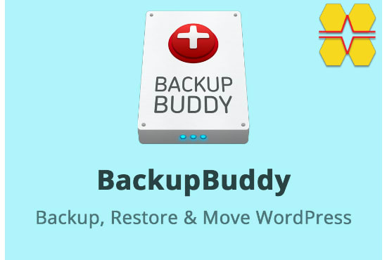 I will secure your wordpress website with backupbuddy