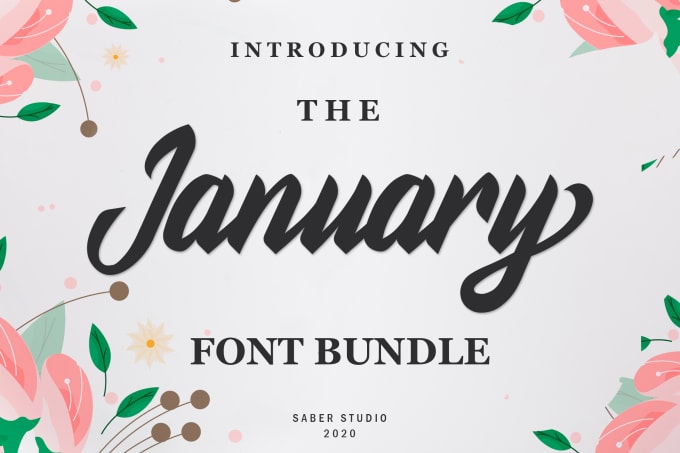 I will sell the january font bundle