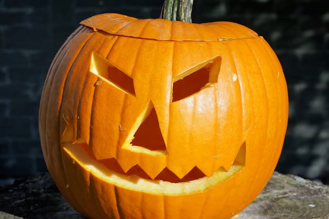 I will send 100 top quality plr articles on halloween