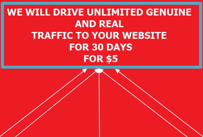 I will send Real Unlimited TRAFFIC to Your Website or Blog