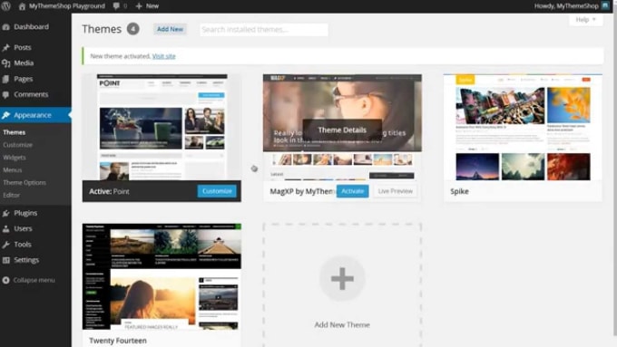 I will set up wp theme, install wp theme, set demo content