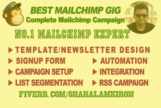 I will setup a Successful Mailchimp Campaign for you