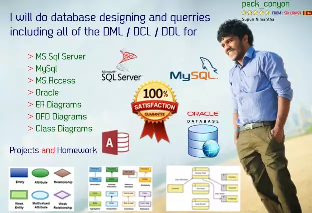 I will sql, access, oracle database design and development
