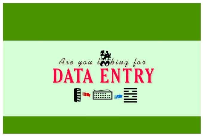 I will undertake data entry works