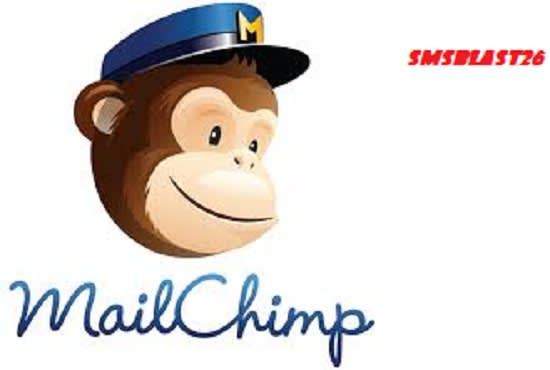 I will work as your mailchimp expert and designer