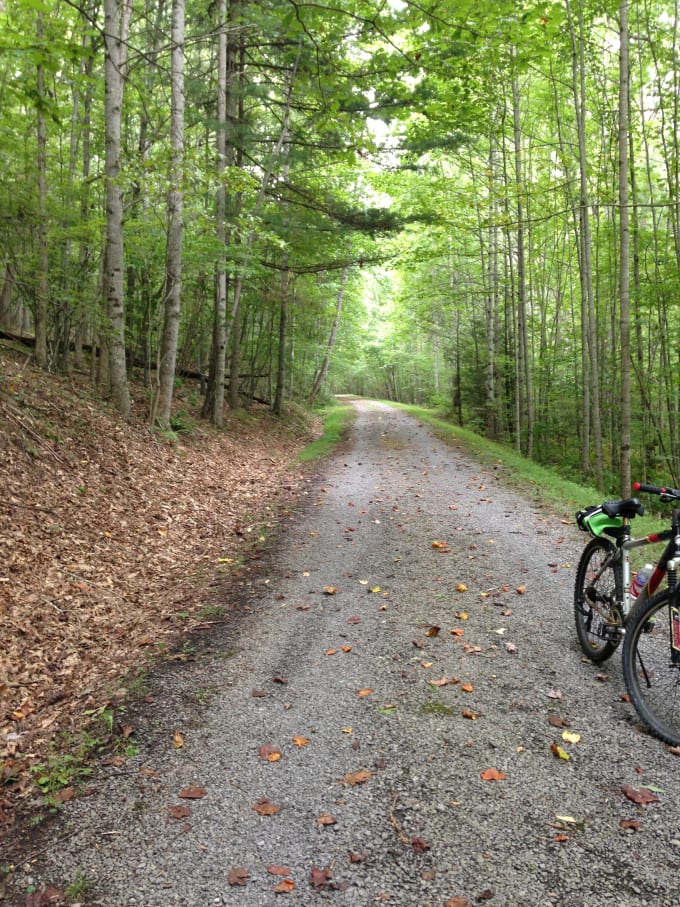 I will write an Article on the Benefits of Women Riding a Bicycle