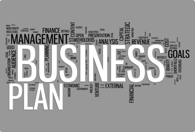 I will write Business Plans and Business Proposal documents