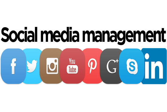 I will be your devoted  social media management
