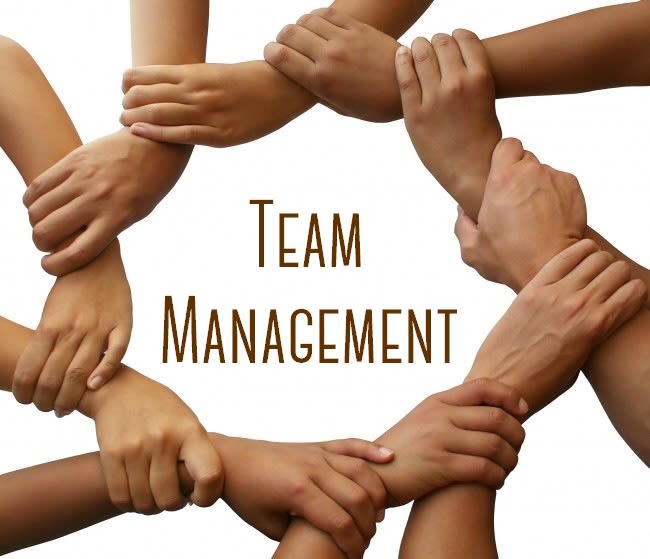 I will create a coaching activity to improve your team management